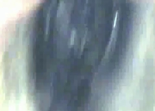 Animal sex recorded up close