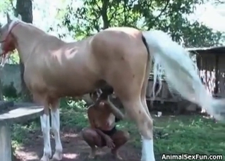 Nice blowjob for a horny animal