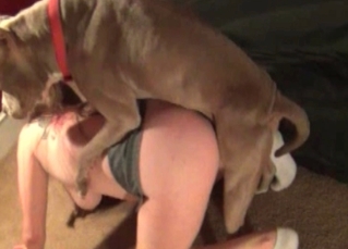 Ravishing chick enjoying dog dick